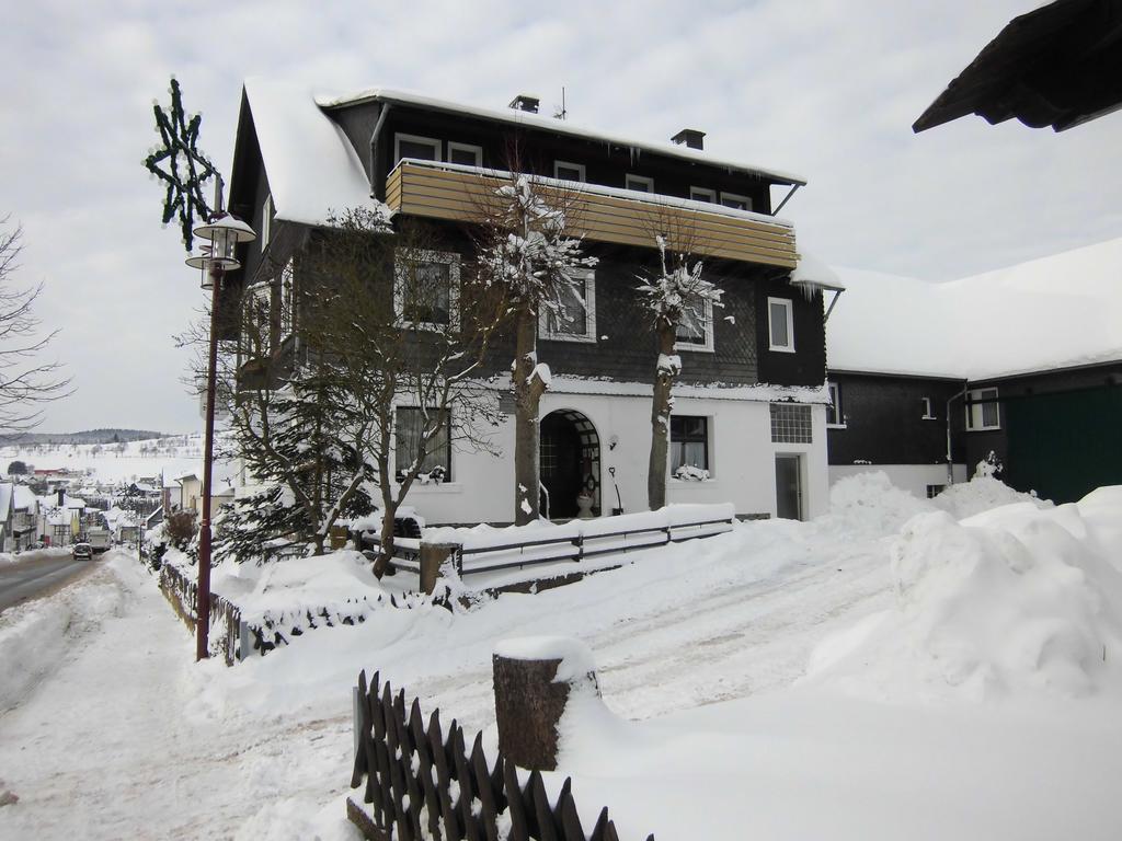 Dribischenhof Hotel Usseln Buitenkant foto