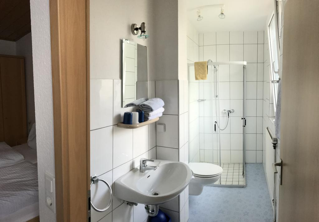 Dribischenhof Hotel Usseln Buitenkant foto